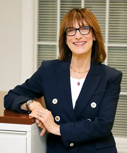 Attorney Attorneys Bio Partner